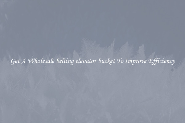 Get A Wholesale belting elevator bucket To Improve Efficiency