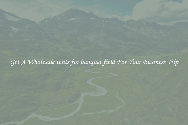Get A Wholesale tents for banquet field For Your Business Trip