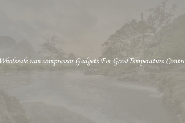 Wholesale ram compressor Gadgets For GoodTemperature Control