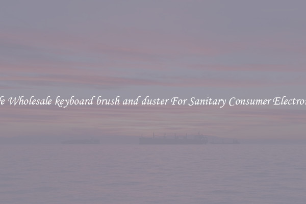 Safe Wholesale keyboard brush and duster For Sanitary Consumer Electronics