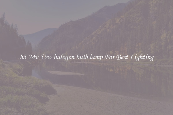 h3 24v 55w halogen bulb lamp For Best Lighting