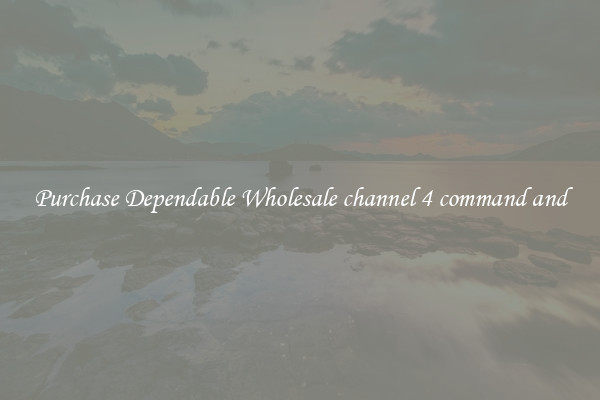 Purchase Dependable Wholesale channel 4 command and
