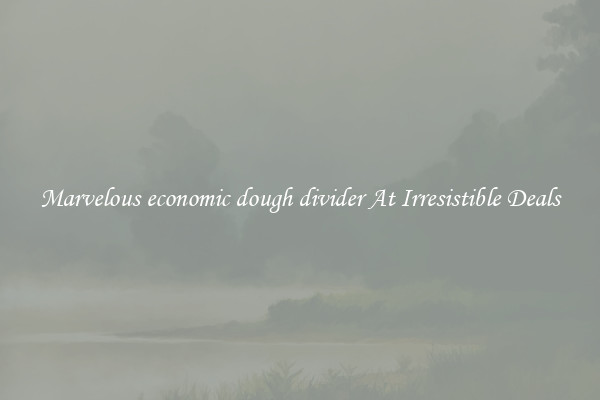 Marvelous economic dough divider At Irresistible Deals