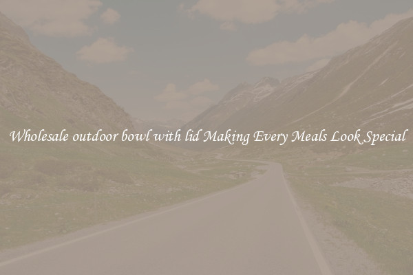 Wholesale outdoor bowl with lid Making Every Meals Look Special