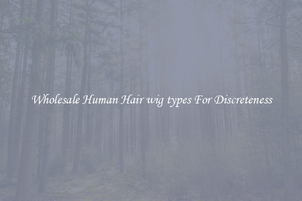 Wholesale Human Hair wig types For Discreteness