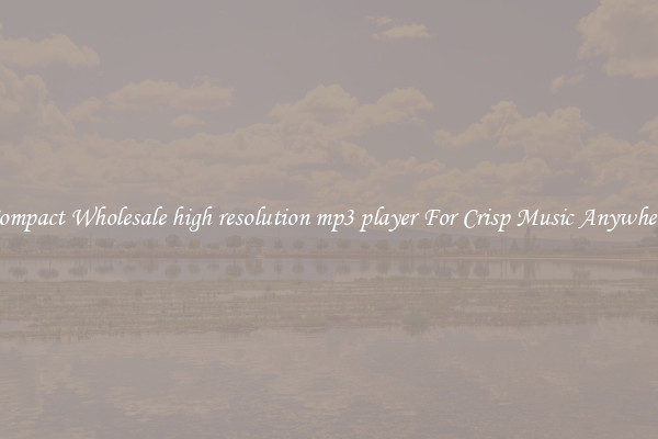 Compact Wholesale high resolution mp3 player For Crisp Music Anywhere