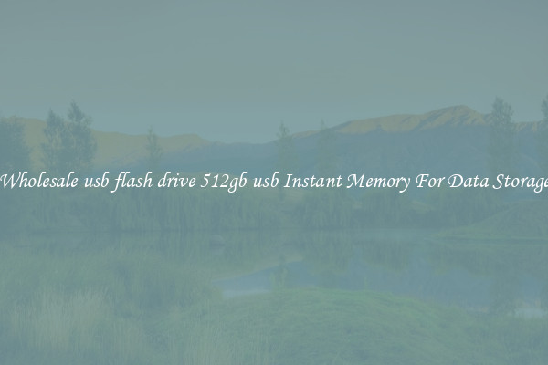 Wholesale usb flash drive 512gb usb Instant Memory For Data Storage