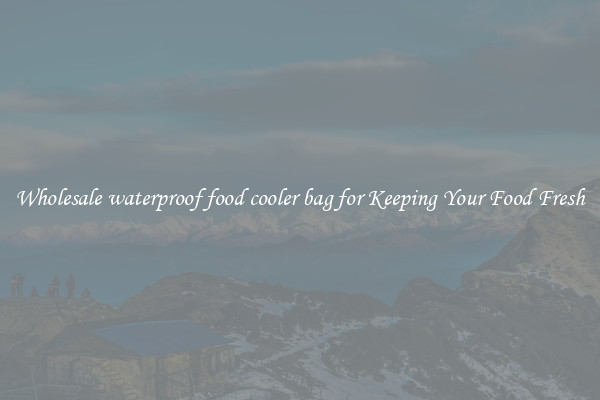 Wholesale waterproof food cooler bag for Keeping Your Food Fresh