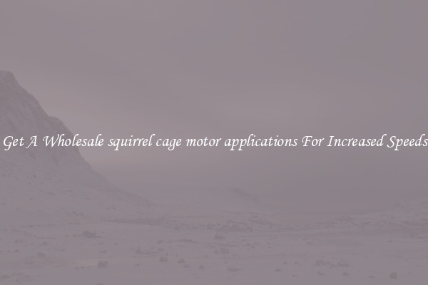 Get A Wholesale squirrel cage motor applications For Increased Speeds