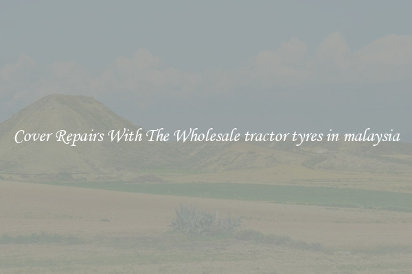  Cover Repairs With The Wholesale tractor tyres in malaysia 