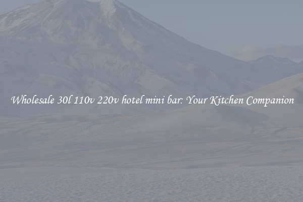 Wholesale 30l 110v 220v hotel mini bar: Your Kitchen Companion