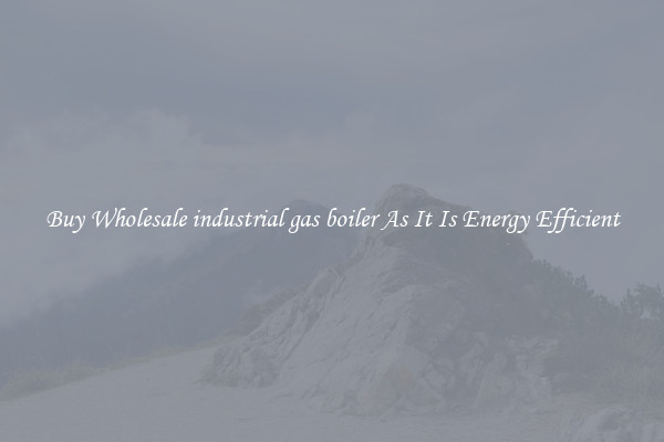 Buy Wholesale industrial gas boiler As It Is Energy Efficient