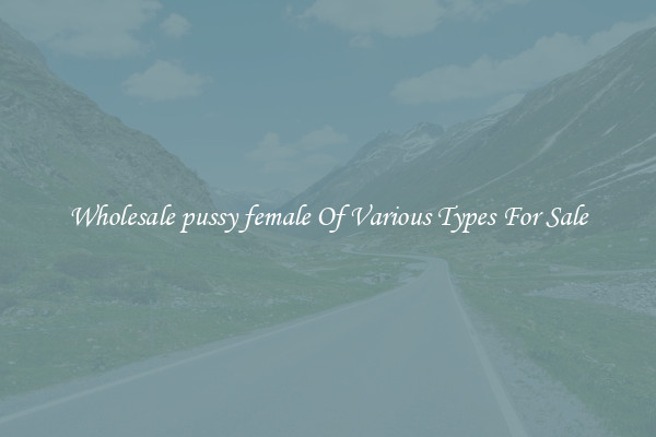 Wholesale pussy female Of Various Types For Sale
