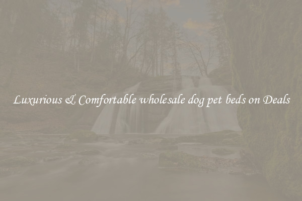 Luxurious & Comfortable wholesale dog pet beds on Deals
