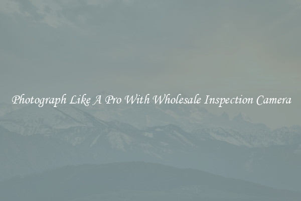 Photograph Like A Pro With Wholesale Inspection Camera