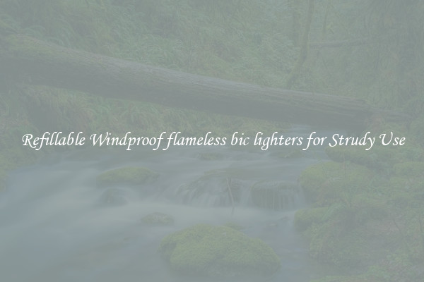 Refillable Windproof flameless bic lighters for Strudy Use