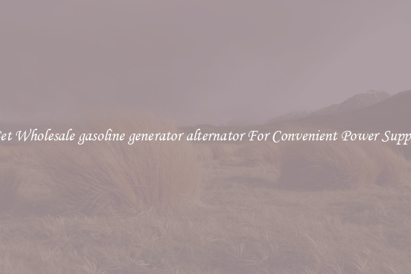 Get Wholesale gasoline generator alternator For Convenient Power Supply