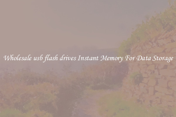 Wholesale usb flash drives Instant Memory For Data Storage